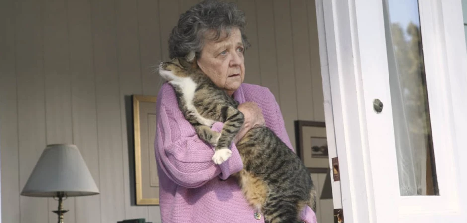 Кадры из Отчаянные домохозяйки 3 сезон 8 серия