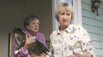 Кадры из Отчаянные домохозяйки 3 сезон 8 серия