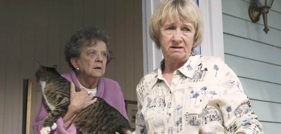 Кадры из Отчаянные домохозяйки 3 сезон 8 серия