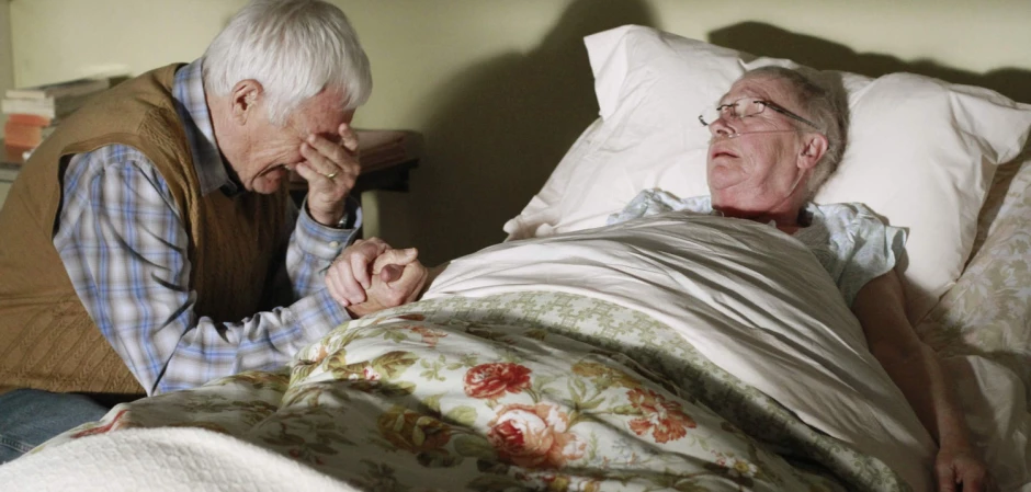 Кадры из Отчаянные домохозяйки 8 сезон 23 серия