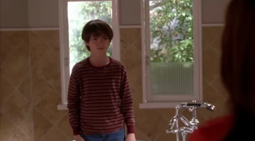 Отчаянные домохозяйки 6 сезон 20 серия