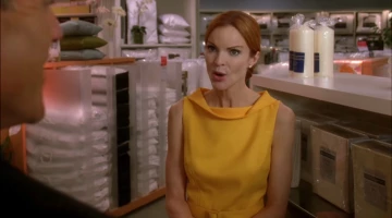 Отчаянные домохозяйки 6 сезон 8 серия